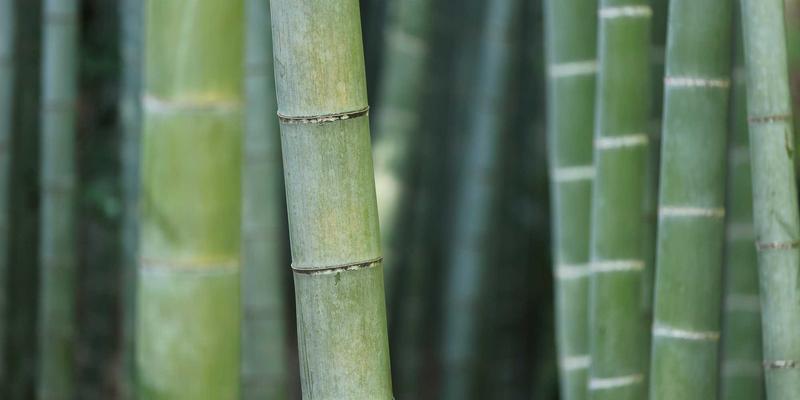 二手奢侈品典当全解析:如何通过典当行实现灵活抵押贷款