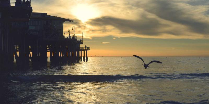 从波西米亚风格到抵押贷款：典当服务的现代转型与多元价值