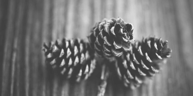 兴大典当：当波西米亚风情邂逅抵押贷款，解锁85%资金活力的艺术