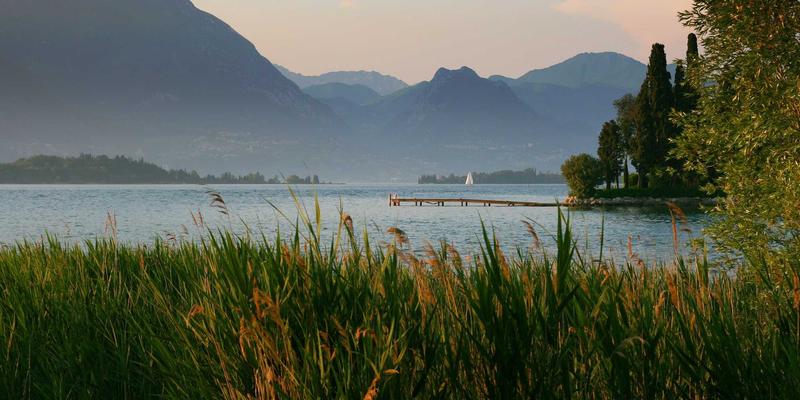 兴大典当：连接二手商品流转与专业典当服务的现代桥梁