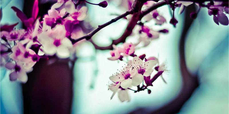 典当服务77:连接二手交易与古玩典当的现代桥梁