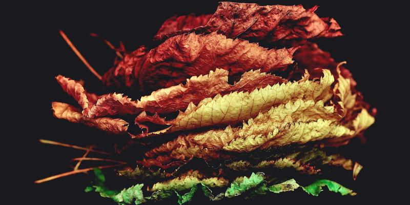 典当服务完全指南：从抵押贷款到二手奢侈品变现