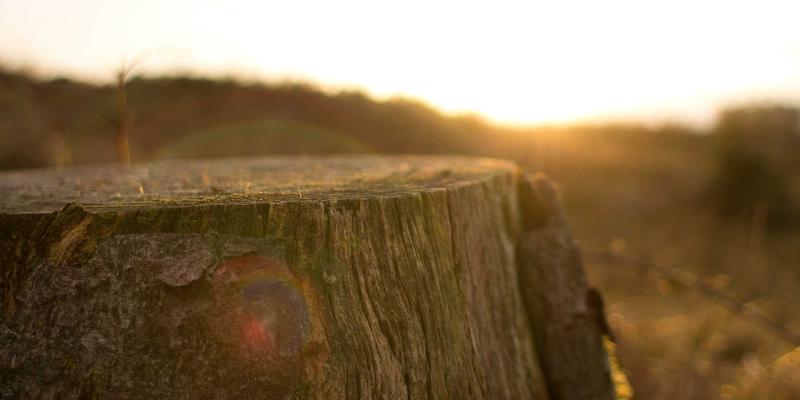 典当服务对比指南:二手奢侈品、波西米亚风格物品如何高效变现