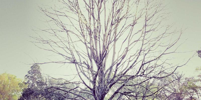 典当服务新视野:从波西米亚古玩到现代融资的智慧桥梁