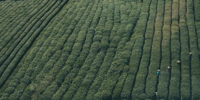 典当行如何评估黄金首饰价值？详解克重、成色与当日金价三大核心