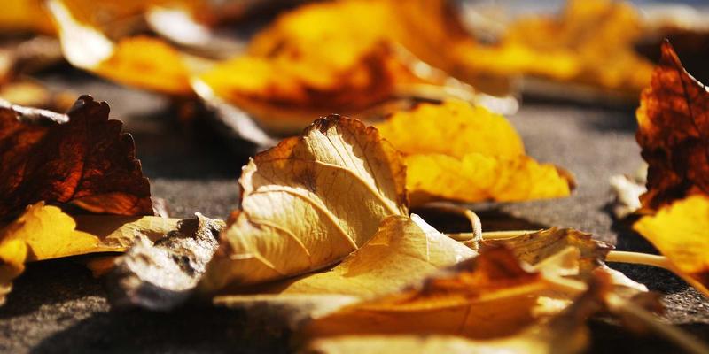 古董珠宝典当的特殊性：如何在历史价值与材质价值间精准评估？