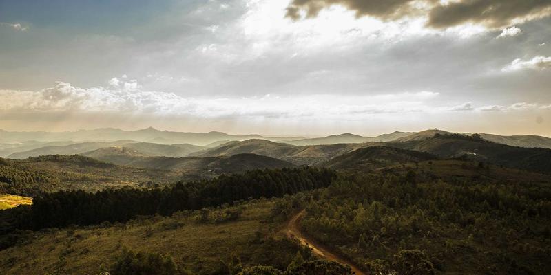 波西米亚风与二手奢侈品的奇妙交汇：现代典当行的价值重塑