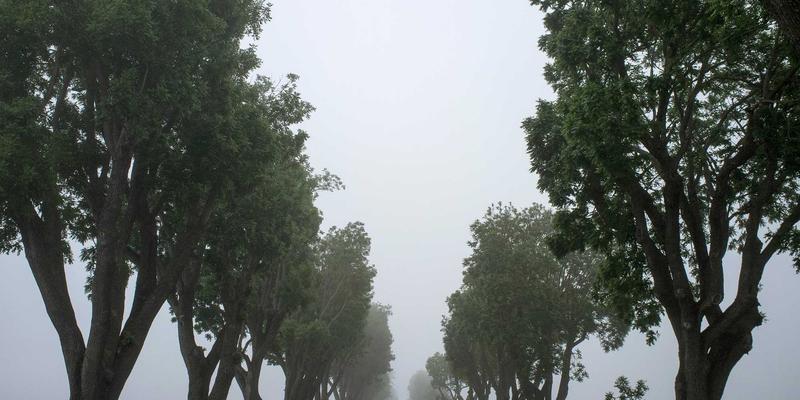 波西米亚风格与典当服务的奇妙交汇:兴大典当如何为自由灵魂提供价值流转