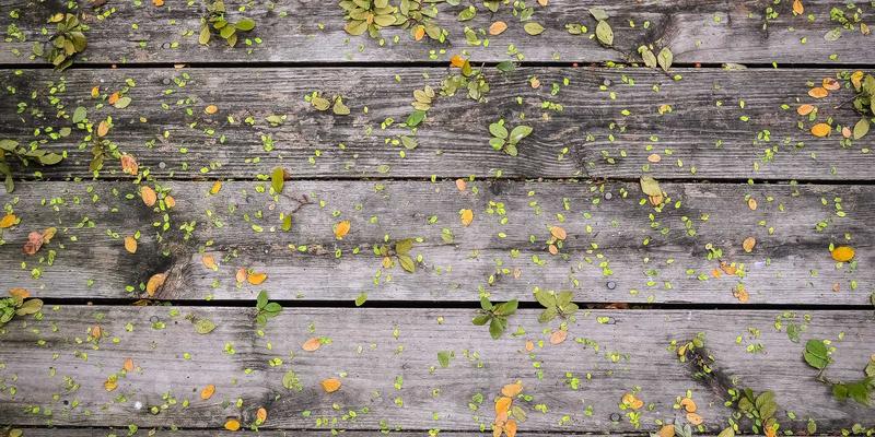 短期资金周转新选择：通过兴大典当进行二手商品交易的优势解析